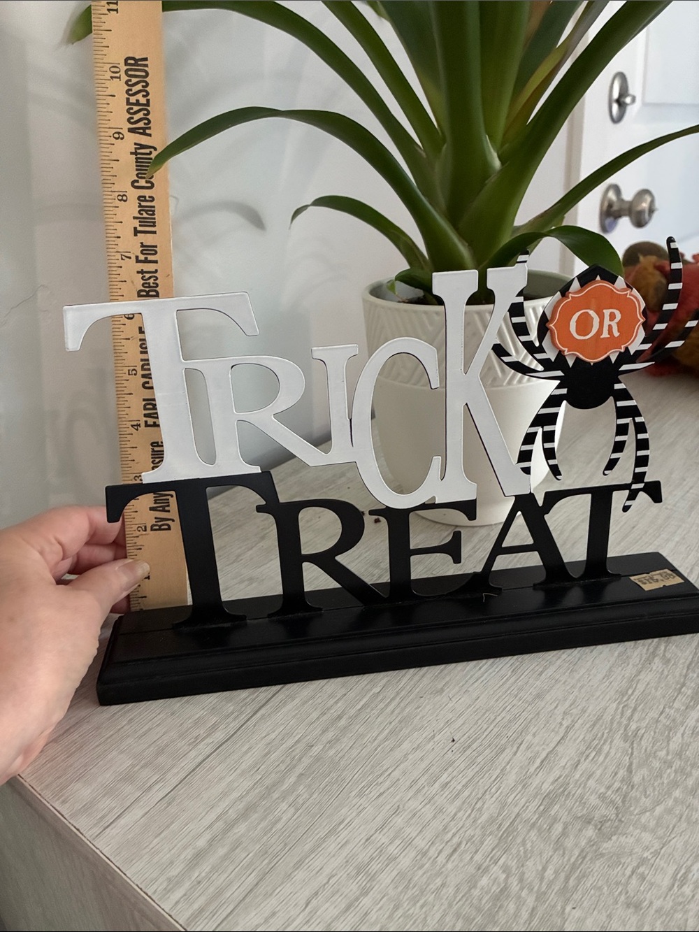 K&K Interiors Black White and Orange Trick or Treat Tabletop Decor